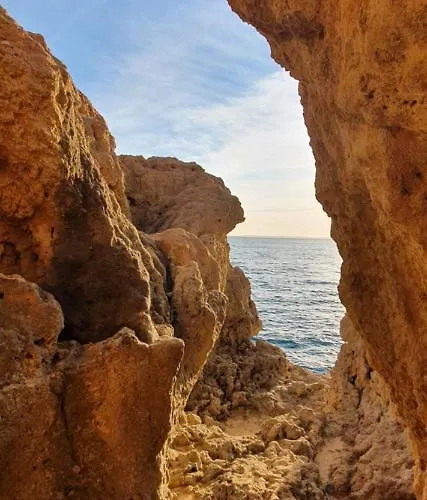 New Appartment! 아파트 *