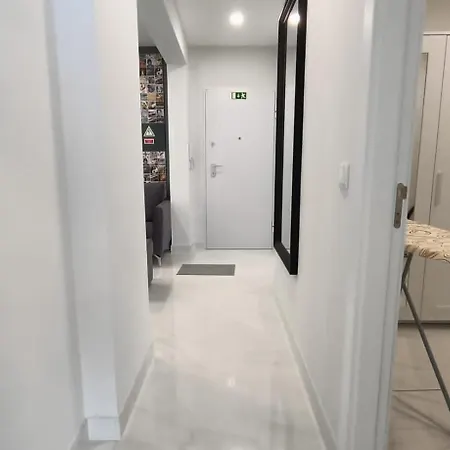 New Appartment! 阿尔布费拉